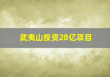 武夷山投资28亿项目