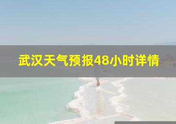 武汉天气预报48小时详情