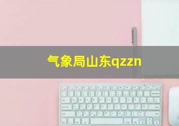 气象局山东qzzn