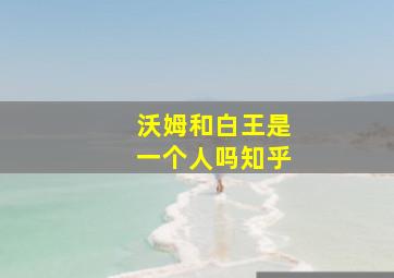 沃姆和白王是一个人吗知乎