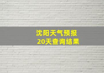 沈阳天气预报20天查询结果