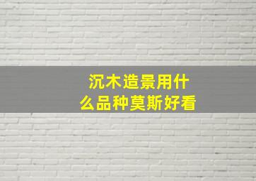 沉木造景用什么品种莫斯好看