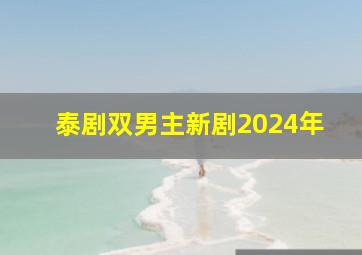 泰剧双男主新剧2024年