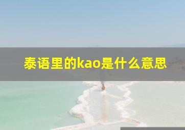 泰语里的kao是什么意思