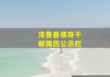 泽普县领导干部简历公示栏