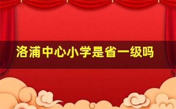 洛浦中心小学是省一级吗