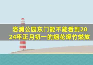 洛浦公园东门能不能看到2024年正月初一的烟花爆竹燃放