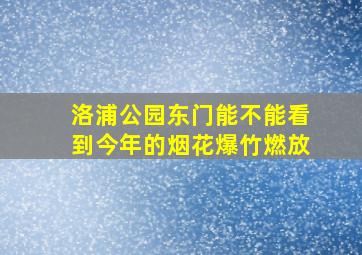 洛浦公园东门能不能看到今年的烟花爆竹燃放