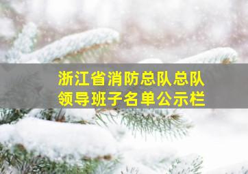 浙江省消防总队总队领导班子名单公示栏