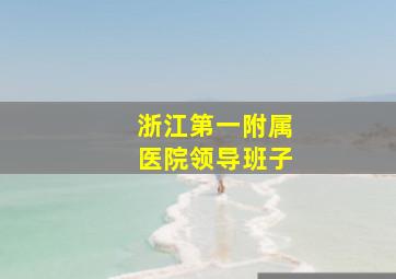 浙江第一附属医院领导班子