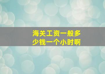 海关工资一般多少钱一个小时啊