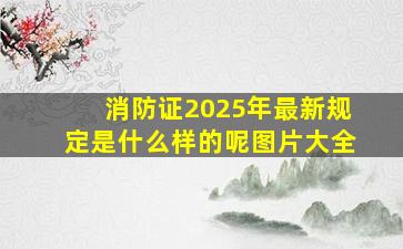 消防证2025年最新规定是什么样的呢图片大全