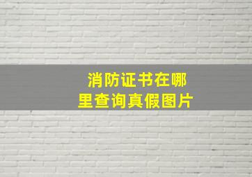 消防证书在哪里查询真假图片