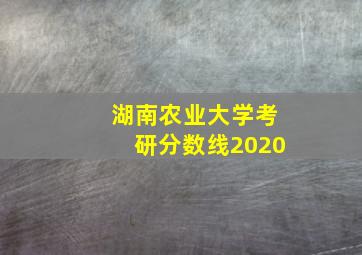 湖南农业大学考研分数线2020