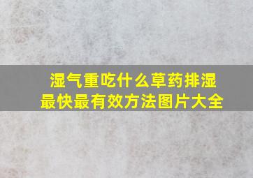 湿气重吃什么草药排湿最快最有效方法图片大全