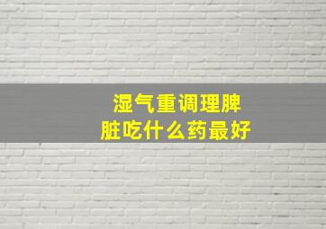 湿气重调理脾脏吃什么药最好