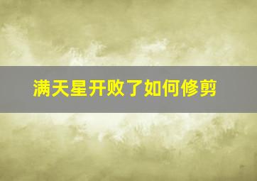 满天星开败了如何修剪