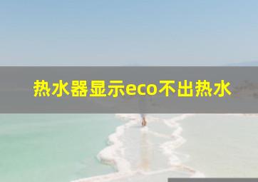 热水器显示eco不出热水