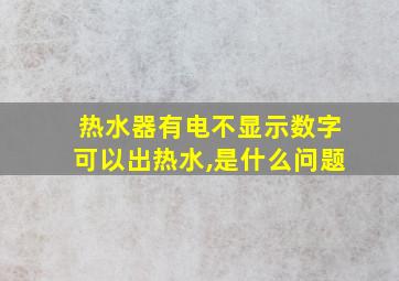 热水器有电不显示数字可以出热水,是什么问题