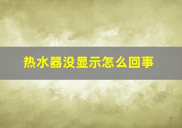 热水器没显示怎么回事