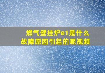 燃气壁挂炉e1是什么故障原因引起的呢视频