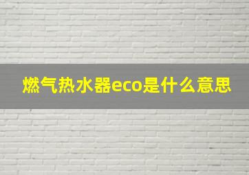 燃气热水器eco是什么意思