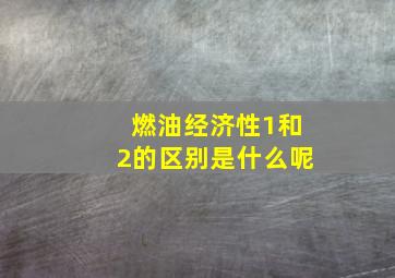 燃油经济性1和2的区别是什么呢