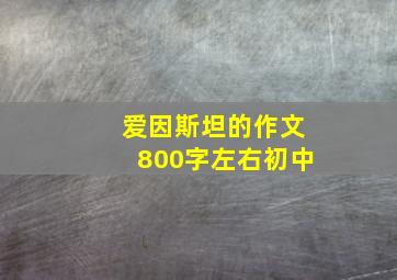 爱因斯坦的作文800字左右初中