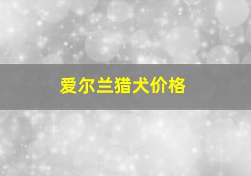 爱尔兰猎犬价格