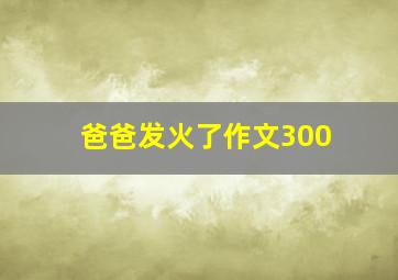 爸爸发火了作文300