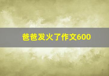 爸爸发火了作文600