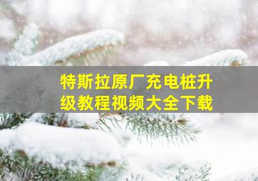 特斯拉原厂充电桩升级教程视频大全下载