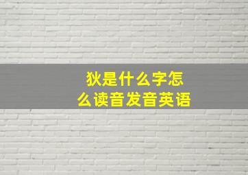 狄是什么字怎么读音发音英语