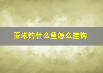 玉米钓什么鱼怎么挂钩