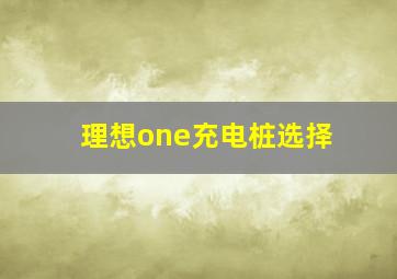 理想one充电桩选择