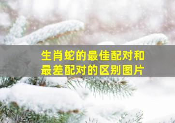 生肖蛇的最佳配对和最差配对的区别图片