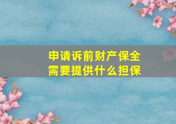 申请诉前财产保全需要提供什么担保