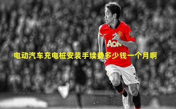 电动汽车充电桩安装手续费多少钱一个月啊