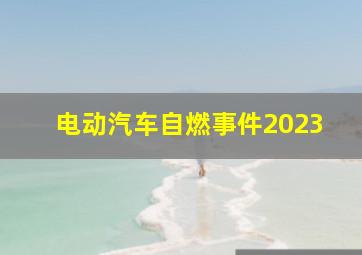 电动汽车自燃事件2023