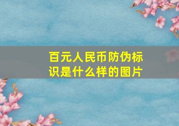 百元人民币防伪标识是什么样的图片