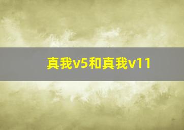 真我v5和真我v11