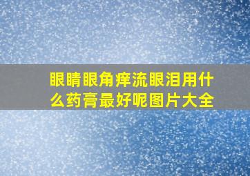 眼睛眼角痒流眼泪用什么药膏最好呢图片大全