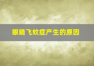 眼睛飞蚊症产生的原因