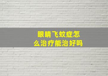 眼睛飞蚊症怎么治疗能治好吗