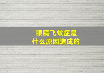 眼睛飞蚊症是什么原因造成的