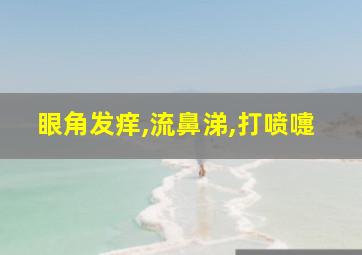 眼角发痒,流鼻涕,打喷嚏