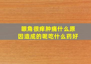 眼角很痒肿痛什么原因造成的呢吃什么药好