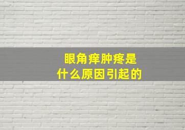 眼角痒肿疼是什么原因引起的