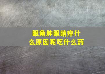 眼角肿眼睛痒什么原因呢吃什么药