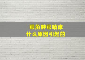 眼角肿眼睛痒什么原因引起的